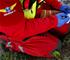foto: ZZS MSK 
