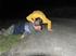 Foto: Codrys 